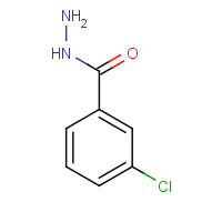 1673-47-8 3-CHLOROBENZHYDRAZIDE chemical structure