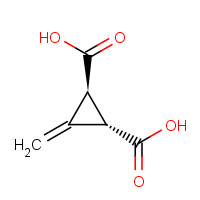 499-02-5 3-METHYLENECYCLOPROPANE-TRANS-1,2-DICARBOXYLIC ACID chemical structure