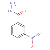 618-94-0 3-NITROBENZHYDRAZIDE chemical structure