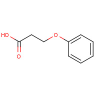 7170-38-9 3-Phenoxypropionic acid chemical structure