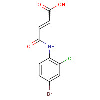 175205-15-9 4-(4-BROMO-2-CHLOROANILINO)-4-OXOBUT-2-ENOIC ACID chemical structure