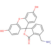 91539-64-9 4'-(Aminomethyl)fluoresceinehydrochloride chemical structure