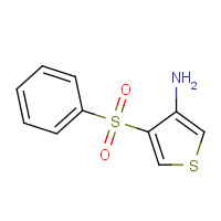 175201-60-2 4-(PHENYLSULFONYL)THIOPHEN-3-AMINE chemical structure