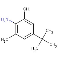 42014-60-8 4-(TERT-BUTYL)-2,6-DIMETHYLANILINE chemical structure