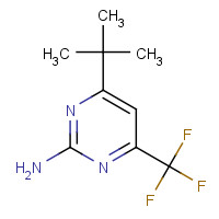 238742-83-1 2-AMINO-6-T-BUTYL-4-(TRIFLUOROMETHYL)PYRIMIDINE chemical structure