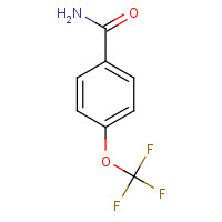 456-71-3 4-(TRIFLUOROMETHOXY)BENZAMIDE chemical structure