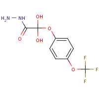 175204-36-1 4-(TRIFLUOROMETHOXY)PHENOXYACETIC ACID HYDRAZIDE chemical structure