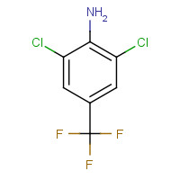 24279-39-8 4-Amino-3,5-dichlorobenzotrifluoride chemical structure