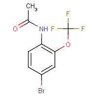 175278-18-9 4-BROMO-2-(TRIFLUOROMETHOXY)ACETANILIDE chemical structure