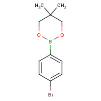 183677-71-6 4-BROMOBENZENEBORONIC ACID NEOPENTYL GLYCOL ESTER chemical structure