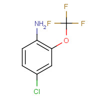 175205-77-3 4-CHLORO-2-(TRIFLUOROMETHOXY)ANILINE chemical structure