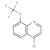 40516-42-5 4-CHLORO-8-TRIFLUOROMETHOXYQUINOLINE chemical structure