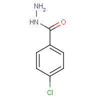 536-40-3 4-CHLOROBENZHYDRAZIDE chemical structure