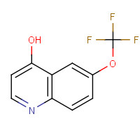 175203-87-9 6-(TRIFLUOROMETHOXY)-4-QUINOLINOL chemical structure