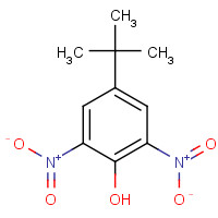 4097-49-8 4-tert-Butyl-2,6-dinitrophenol chemical structure
