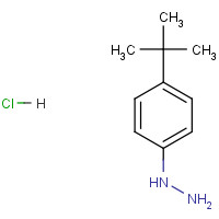 128231-55-0 4-TERT-BUTYLPHENYLHYDRAZINE HYDROCHLORIDE chemical structure