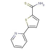 306934-91-8 5-(2-PYRIDINYL)-2-THIOPHENECARBOTHIOAMIDE chemical structure