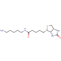 115416-38-1 5-(Biotinamido)pentylamine chemical structure