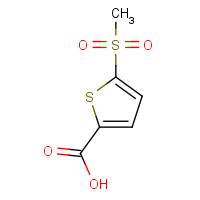 60166-86-1 5-(METHYLSULFONYL)THIOPHENE-2-CARBOXYLIC ACID chemical structure