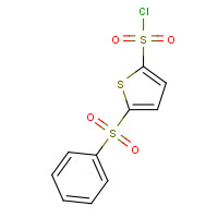 166964-37-0 5-(PHENYLSULFONYL)THIOPHENE-2-SULFONYL CHLORIDE chemical structure