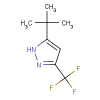 150433-22-0 5-(TERT-BUTYL)-3-(TRIFLUOROMETHYL)-1H-PYRAZOLE chemical structure