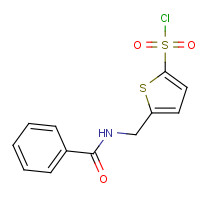 138872-44-3 5-[(BENZOYLAMINO)METHYL]THIOPHENE-2-SULFONYL CHLORIDE chemical structure
