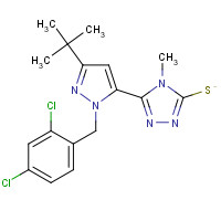 306937-18-8 5-[3-(TERT-BUTYL)-1-(2,4-DICHLOROBENZYL)-1H-PYRAZOL-5-YL]-4-METHYL-4H-1,2,4-TRIAZOLE-3-THIOL chemical structure