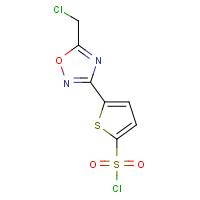 423768-39-2 5-[5-(CHLOROMETHYL)-1,2,4-OXADIAZOL-3-YL]-2-THIOPHENESULFONYL CHLORIDE chemical structure