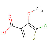 133659-14-0 5-CHLORO-4-METHOXYTHIOPHENE-3-CARBOXYLIC ACID chemical structure