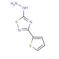 306936-74-3 5-Hydrazino-3-(2-thienyl)-1,2,4-thiadiazole chemical structure