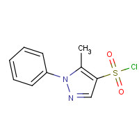 342405-38-3 5-METHYL-1-PHENYL-1H-PYRAZOLE-4-SULFONYL CHLORIDE chemical structure