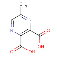 5521-60-8 5-Methyl-2,3-pyrazinedicarboxylic acid chemical structure