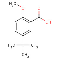 73469-54-2 4-TERT-BUTYL-2-ETHOXY-BENZOIC ACID chemical structure