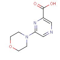 40262-73-5 6-MORPHOLIN-4-YLPYRAZINE-2-CARBOXYLIC ACID chemical structure