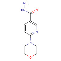 388088-71-9 6-MORPHOLINONICOTINOHYDRAZIDE chemical structure