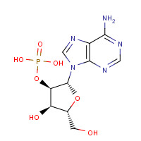 130-49-4 ADENOSINE 2'-3'-MONOPHOSPHATE FREE chemical structure