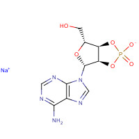 37063-35-7 ADENOSINE-2':3'-CYCLIC MONOPHOSPHATE,SODIUM SALT chemical structure