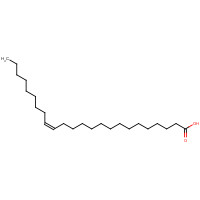 506-37-6 Nervonic acid chemical structure