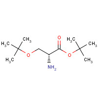 179559-35-4 H-D-SER(TBU)-OTBU HCL chemical structure