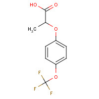 175204-35-0 DL-2-[4-(TRIFLUOROMETHOXY)PHENOXY]PROPIONIC ACID chemical structure