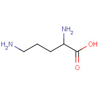 616-07-9 DL-ornithine chemical structure