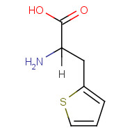 2021-58-1 BETA-(2-THIENYL)-DL-ALANINE chemical structure