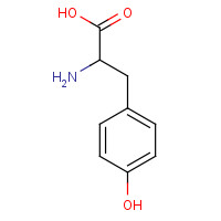 556-03-6 DL-Tyrosine chemical structure
