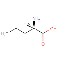 2013-12-9 D(-)-Norvaline chemical structure