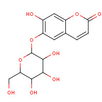 66778-17-4 ESCULIN chemical structure