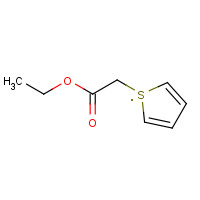 57382-97-5 Ethyl 2-thiopheneacetate chemical structure