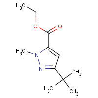 133261-10-6 ETHYL 3-(TERT-BUTYL)-1-METHYL-1H-PYRAZOLE-5-CARBOXYLATE chemical structure