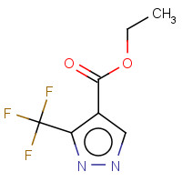 155377-19-8 ETHYL 3-(TRIFLUOROMETHYL)PYRAZOLE-4-CARBOXYLATE chemical structure