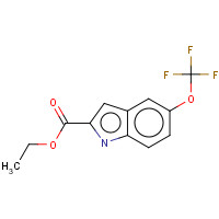175203-82-4 ETHYL 5-(TRIFLUOROMETHOXY)INDOLE-2-CARBOXYLATE chemical structure
