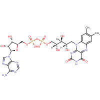 146-14-5 FLAVIN ADENINE DINUCLEOTIDE chemical structure